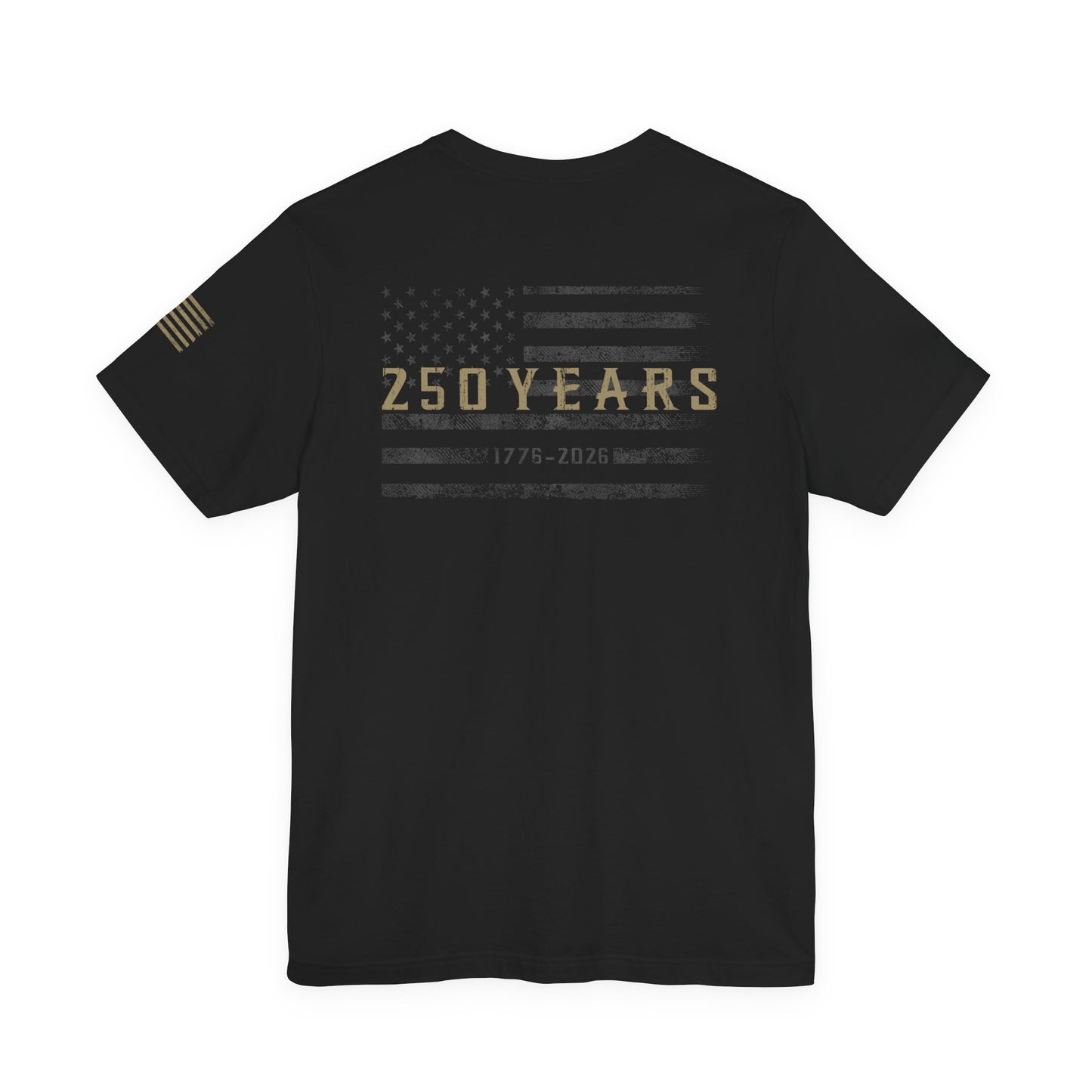 🇺🇸 250 Years Tee