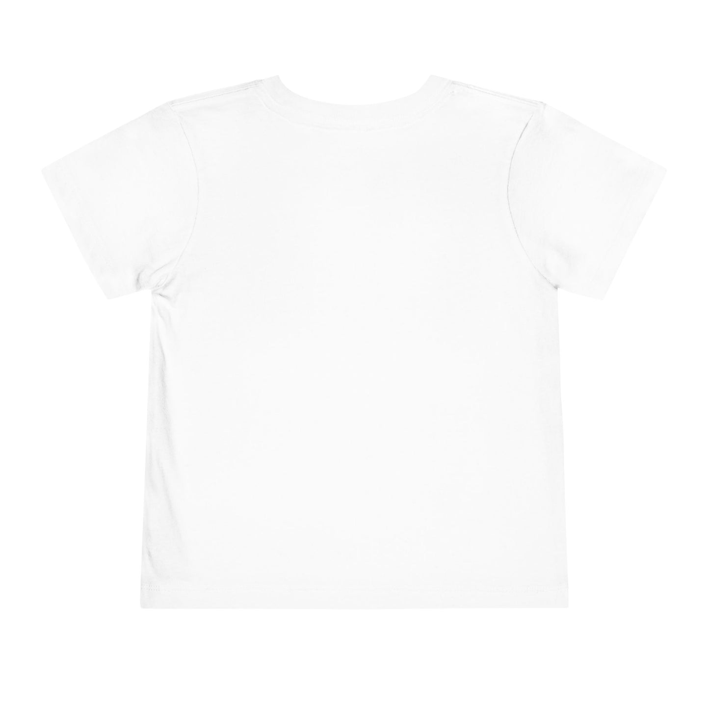 4th of July Little Girls "Silly Goose" Toddler Tee — Backroad & Bougie Boutique