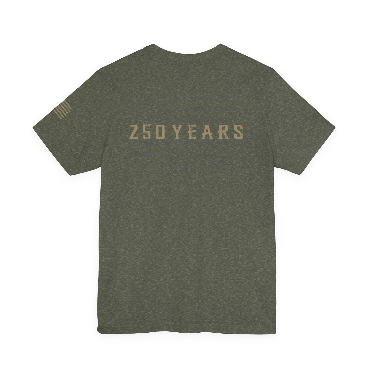 🇺🇸 250 Years Tee