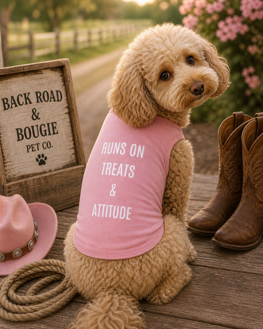 💕 Runs on Treats & Attitude Doggy Sweater